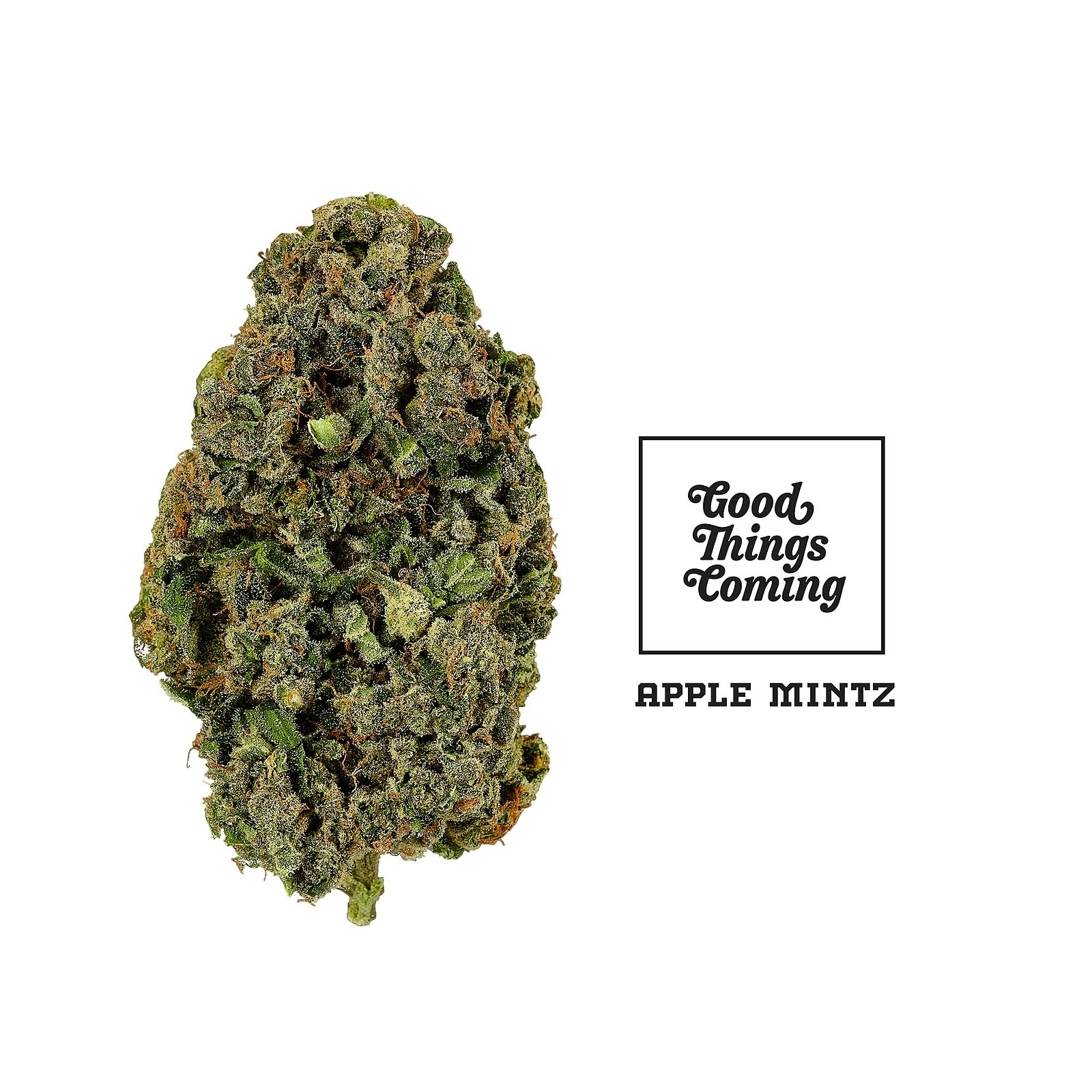 Good Things Coming Apple Mintz 3.5g Flower Leafly