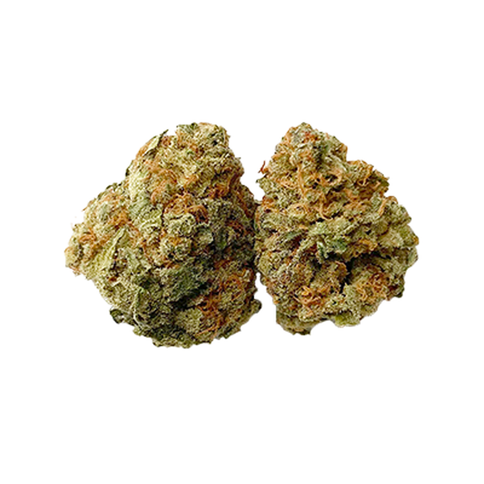 HiBuddy: Northern Lights #5 X Haze | Leafly