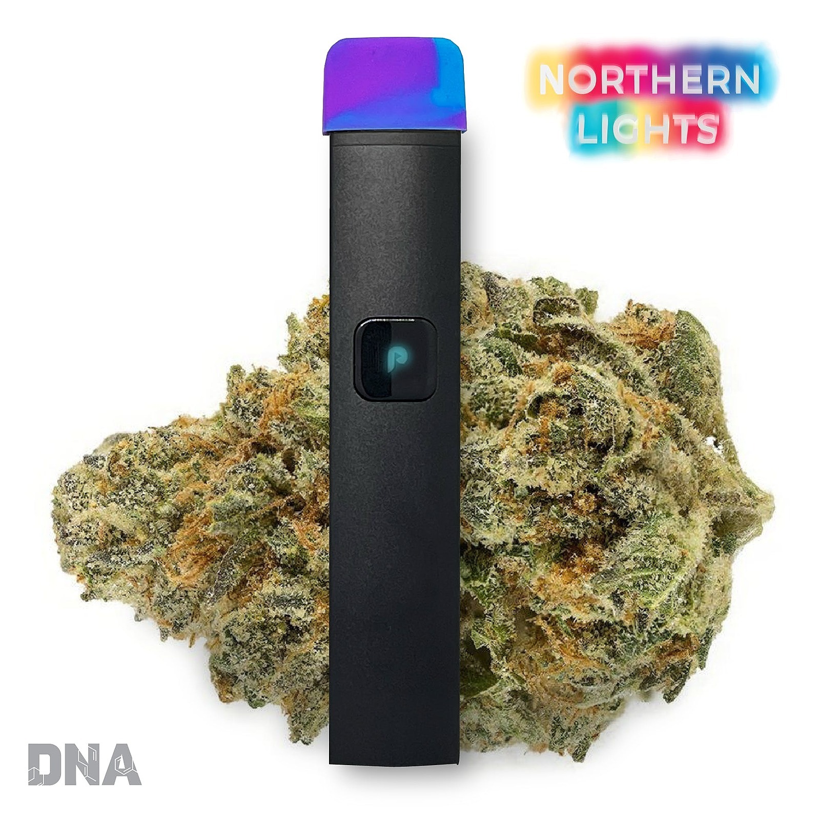 PLUGPLAY™: PLUGPLAY™ | JUSTPLAY™ | DNA | California | Northern Lights ...