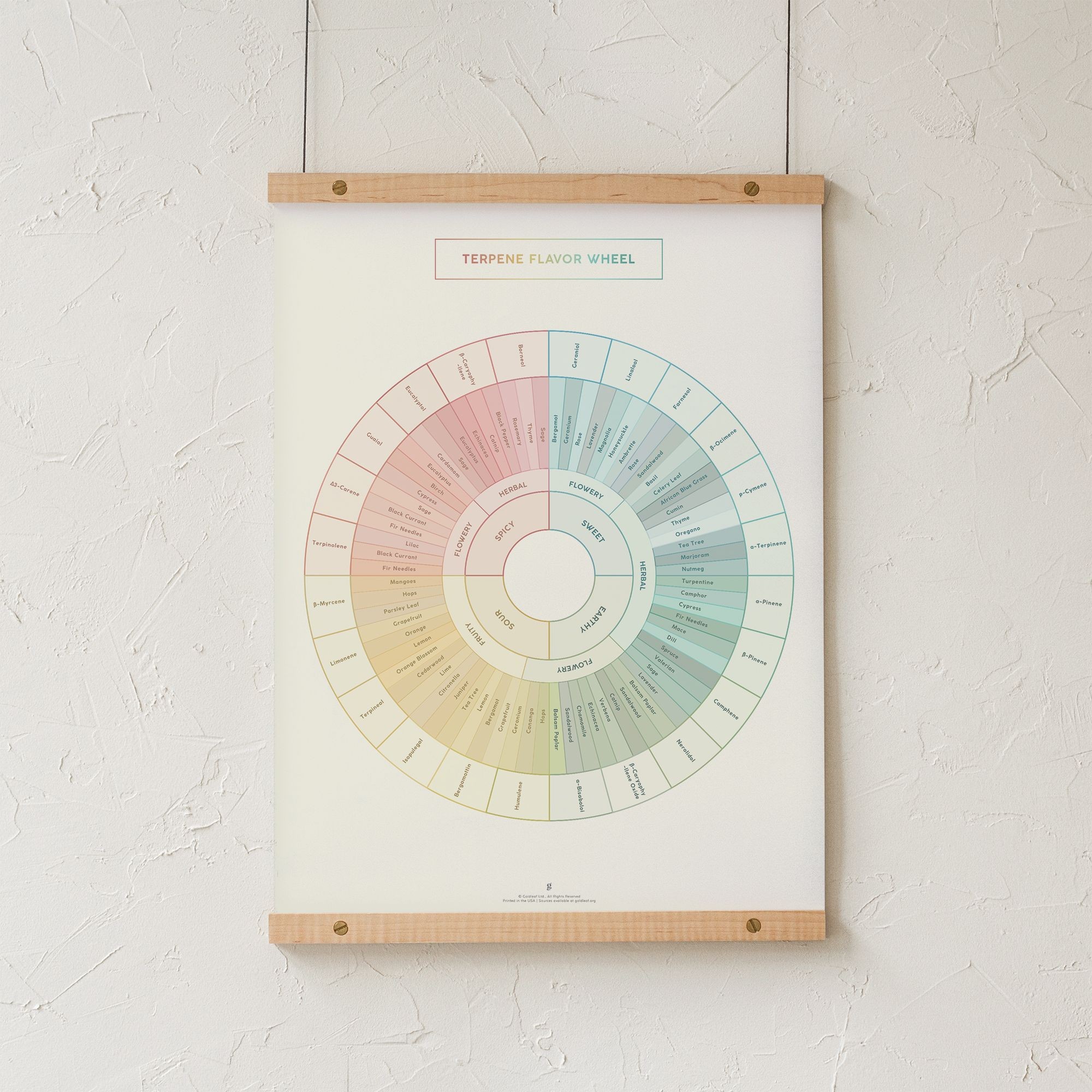 Goldleaf: Terpene Flavor Wheel Diagram Poster/Print | Leafly