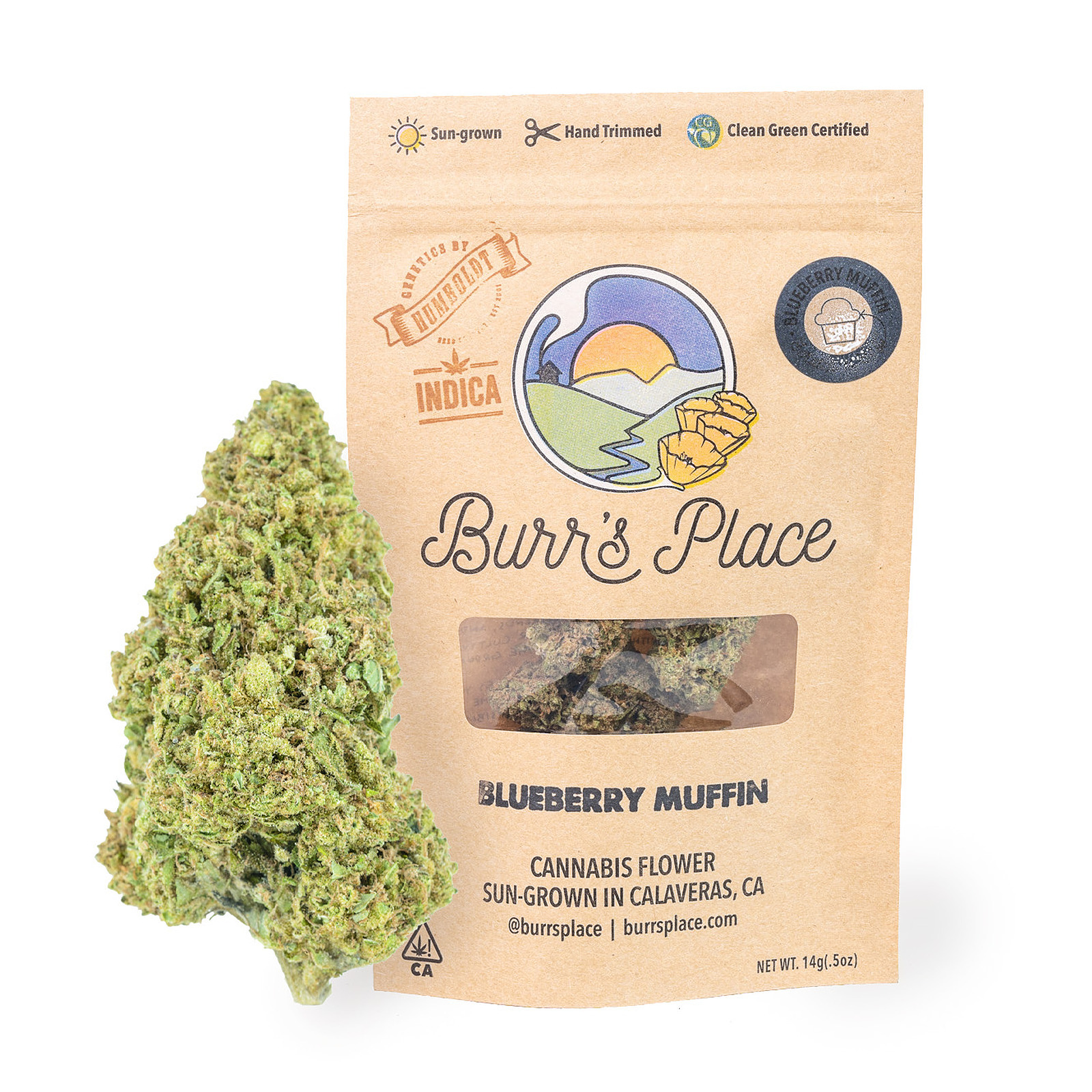 Burr's Place: Blueberry Muffin