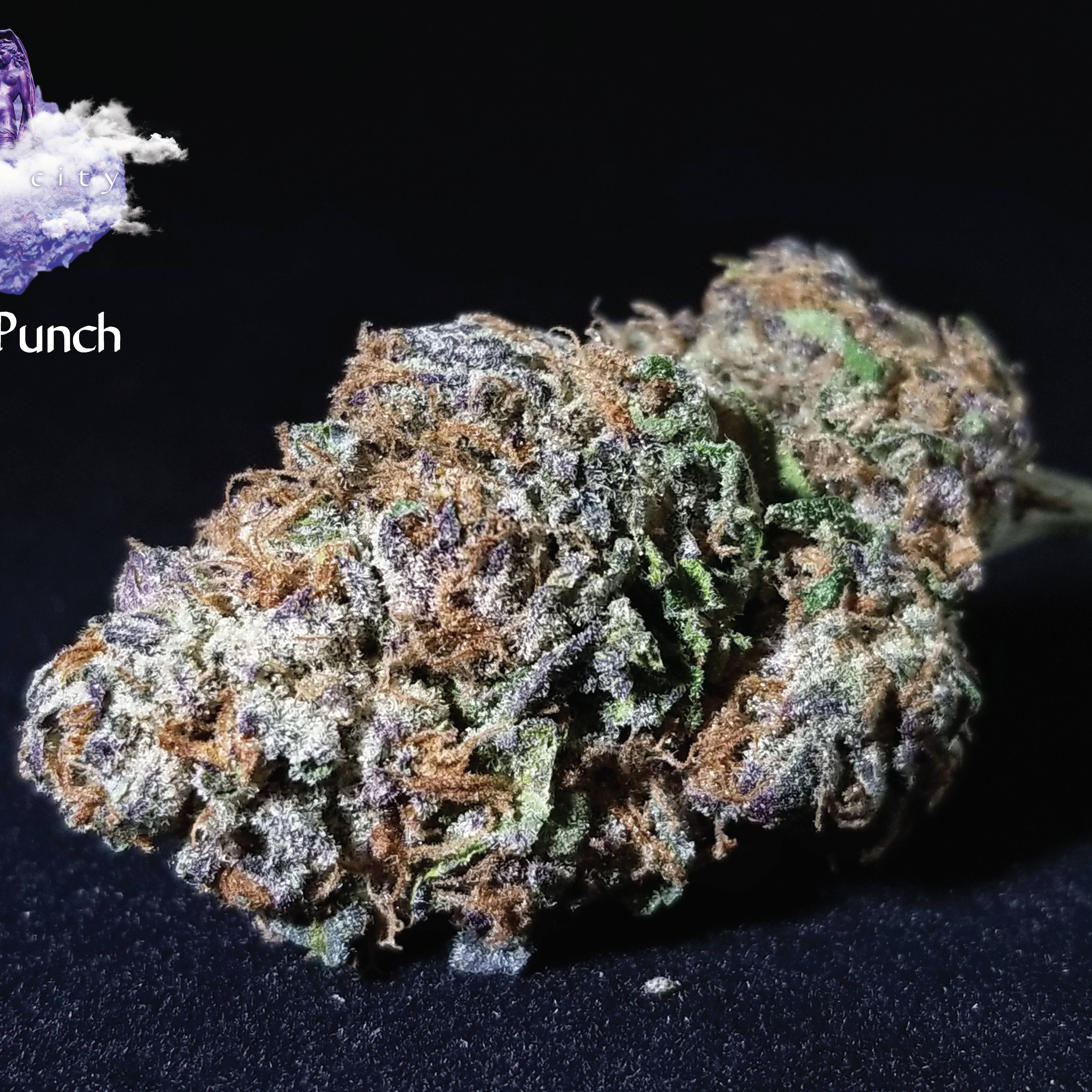 Featured image of post Recipe of Tropical Punch Strain