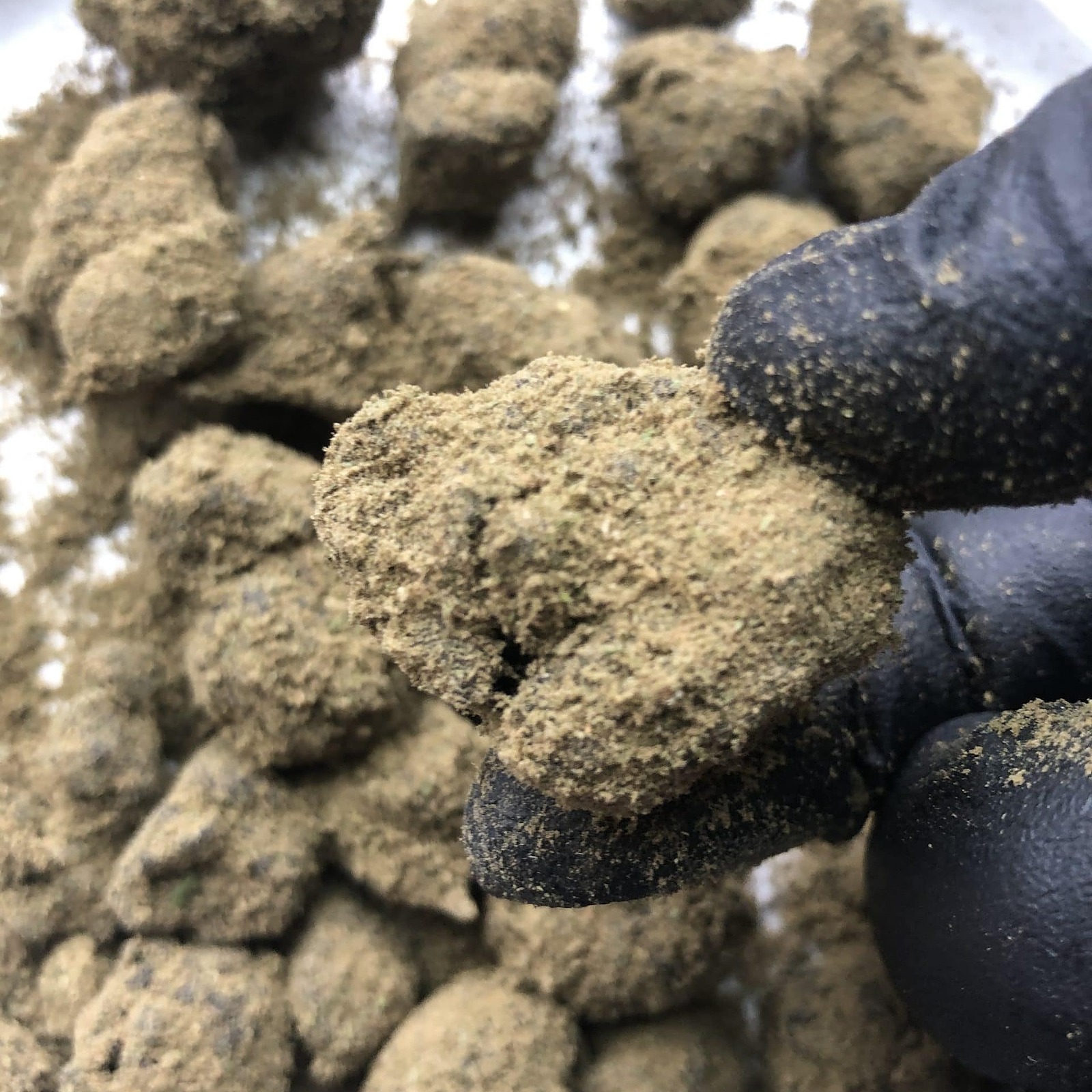 Oregon Hemp Flower: Cherry Abacus Delta 8 Moon Rocks | Leafly