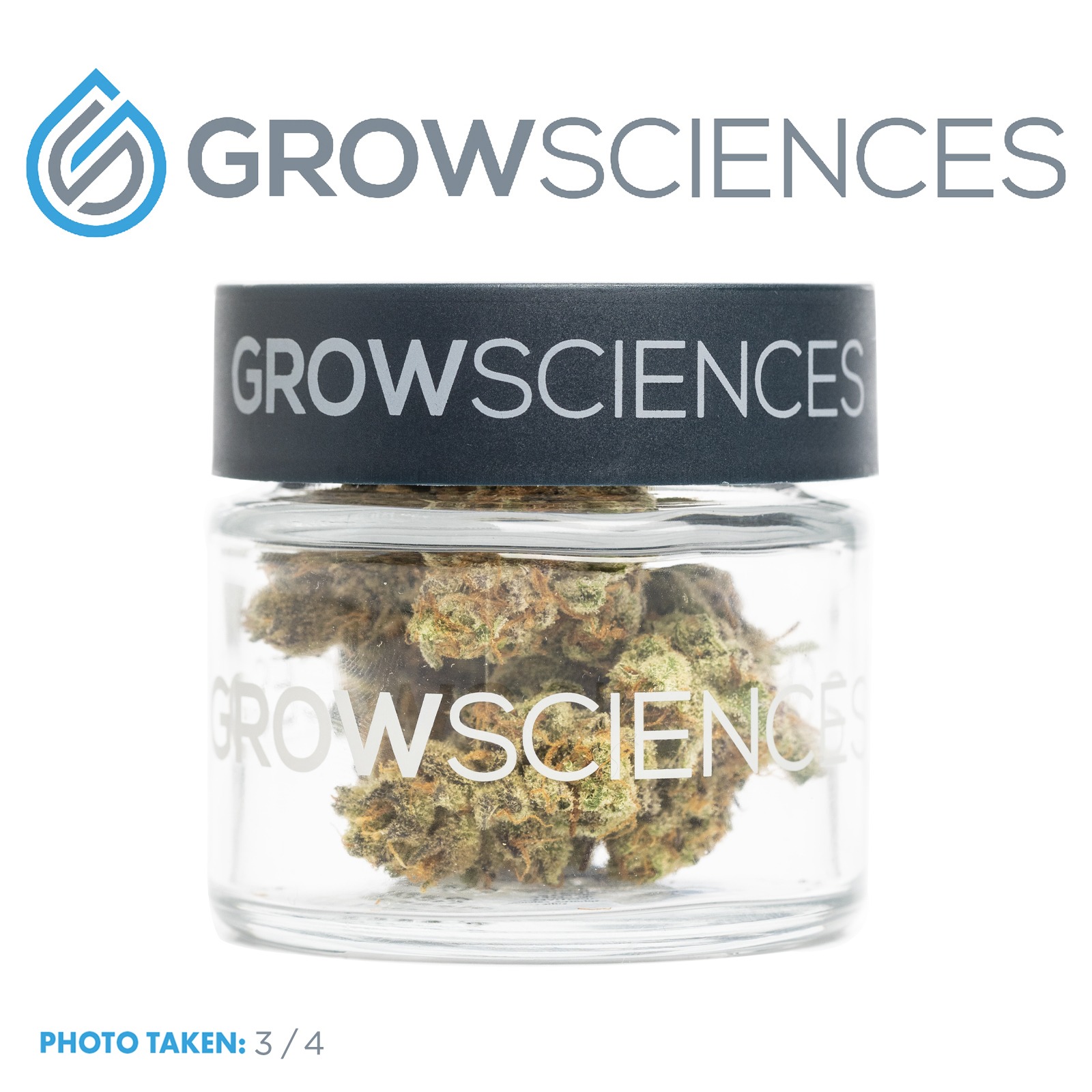 Grow Sciences Strawberry Cream Cake (3.7) Leafly