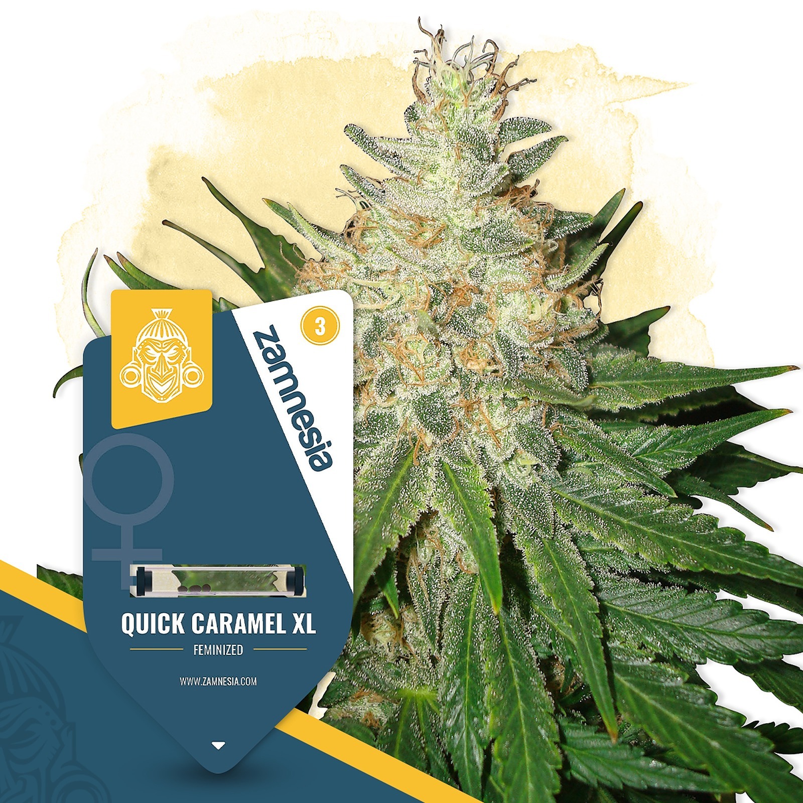 Zamnesia: Quick Caramel XL by Zamnesia Seeds | Leafly