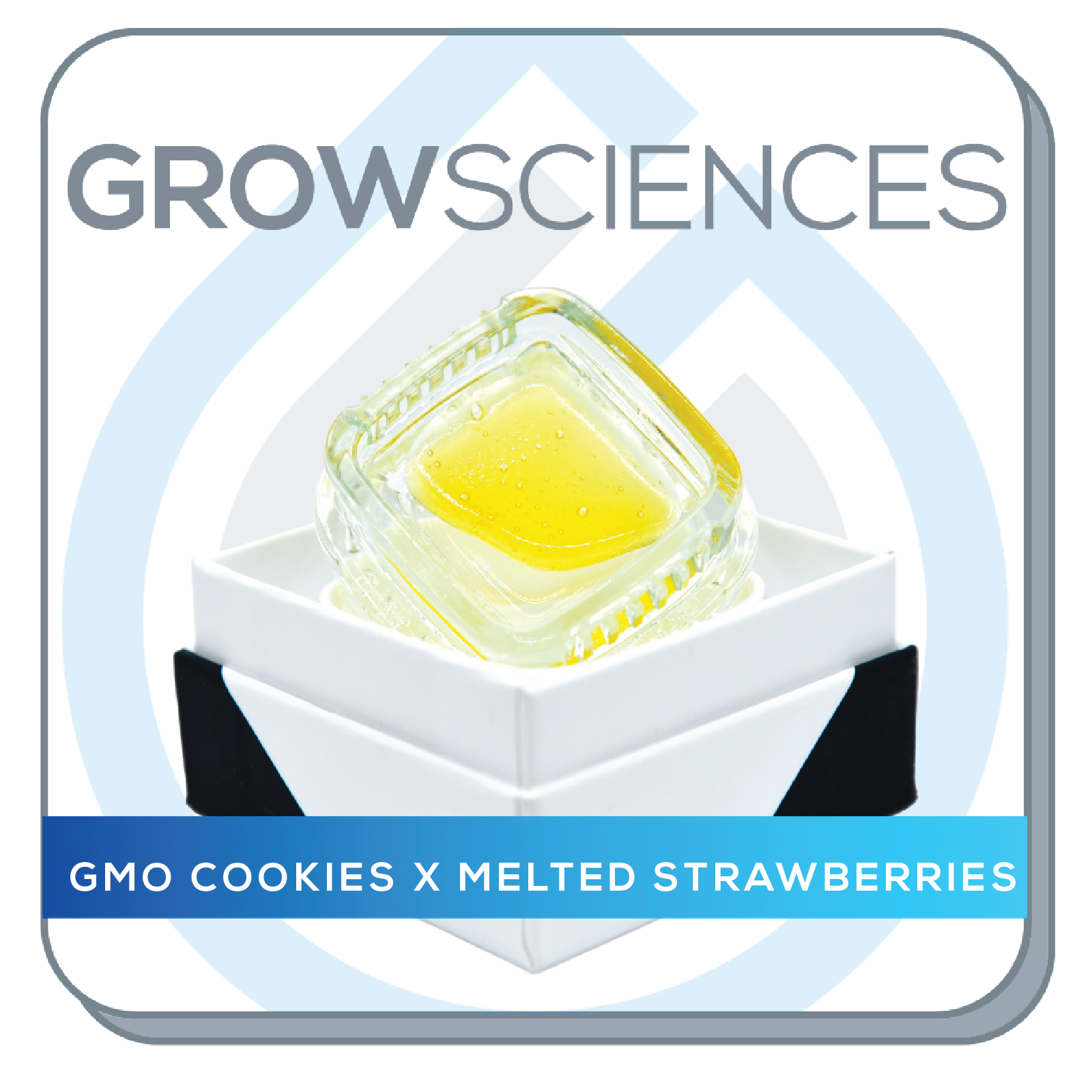Grow Sciences GMO Cookies x Melted Strawberries Live Hash Rosin Jam