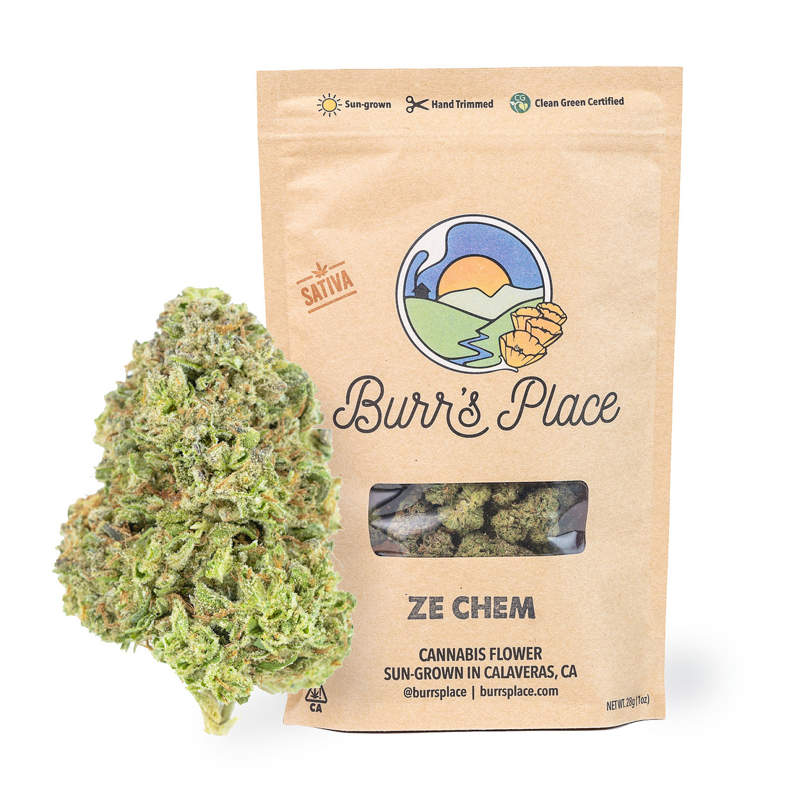 Burr's Place: Ze Chem