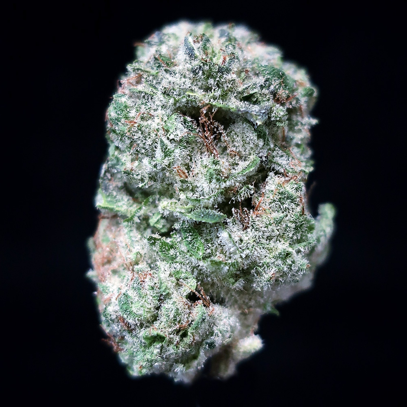 High Mountain Health Island Punch Leafly