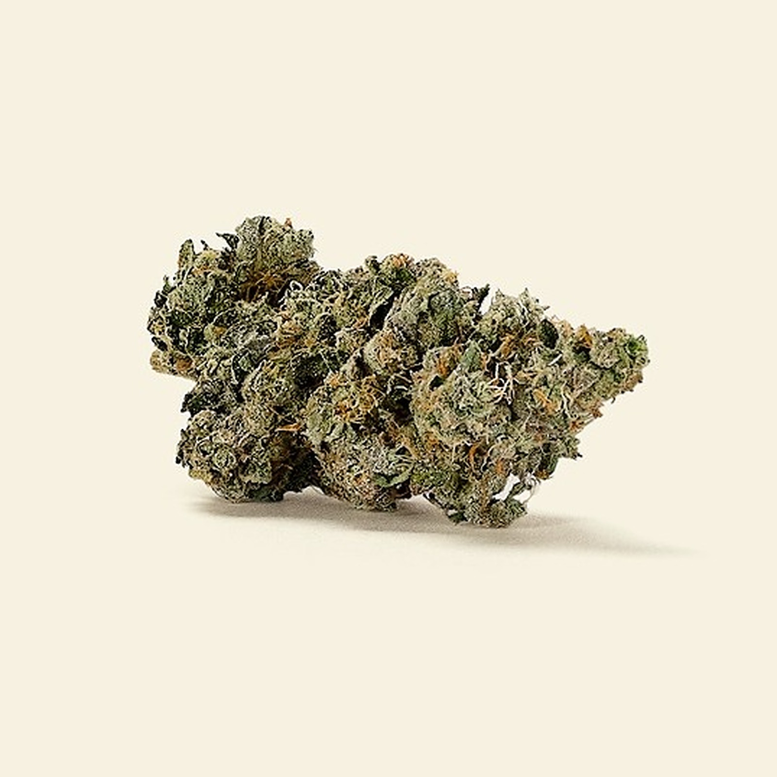 Houseplant Pancake Ice Leafly