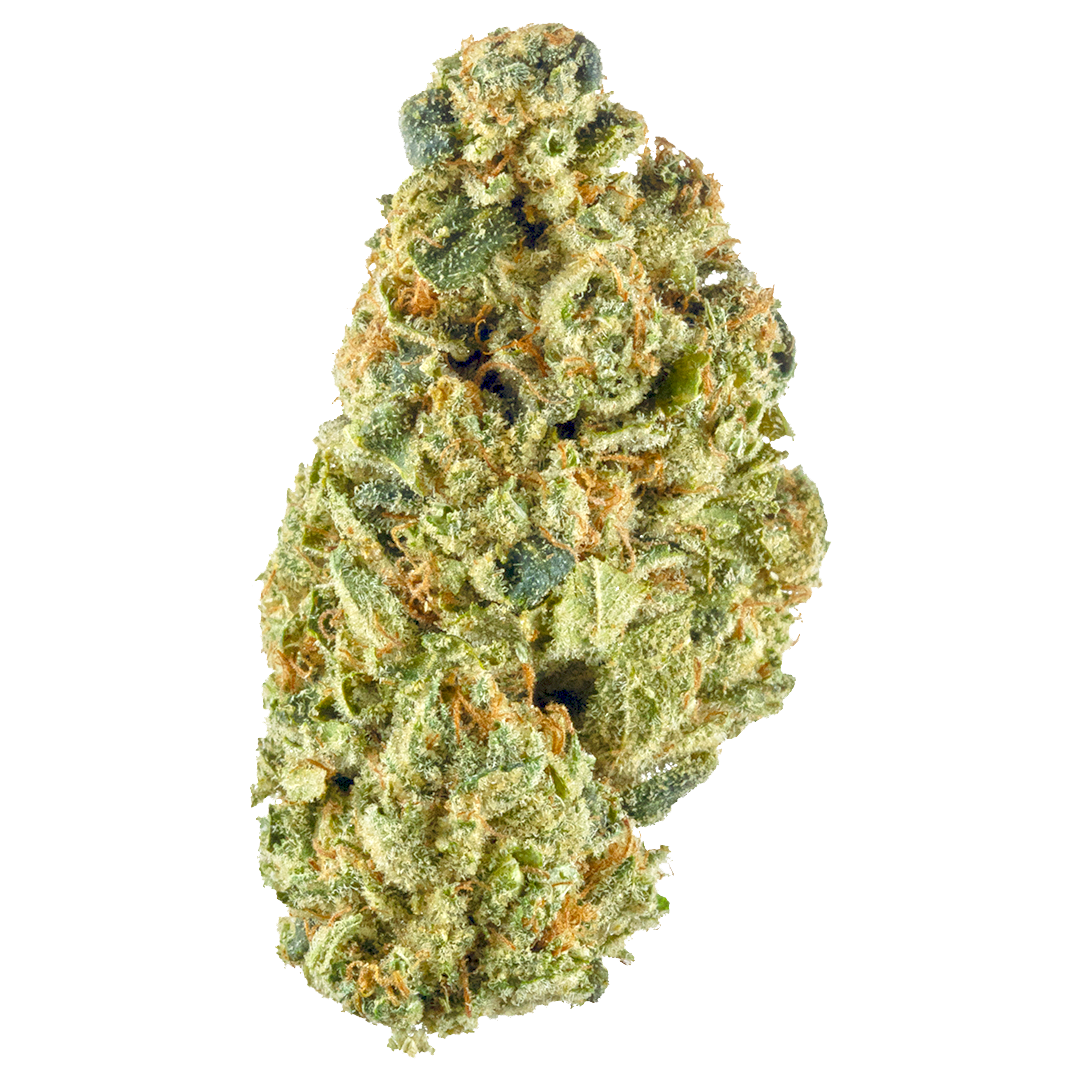 Duffy$ — Headband