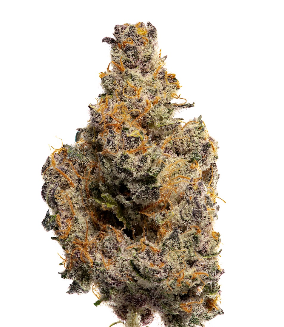 High Noon Cultivation Co.: Tropical Infusion