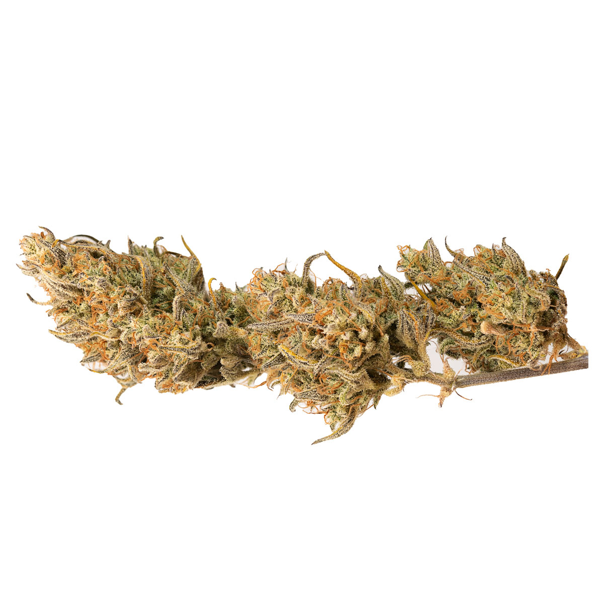 Foto de la variedad Crystal Candy XL Auto