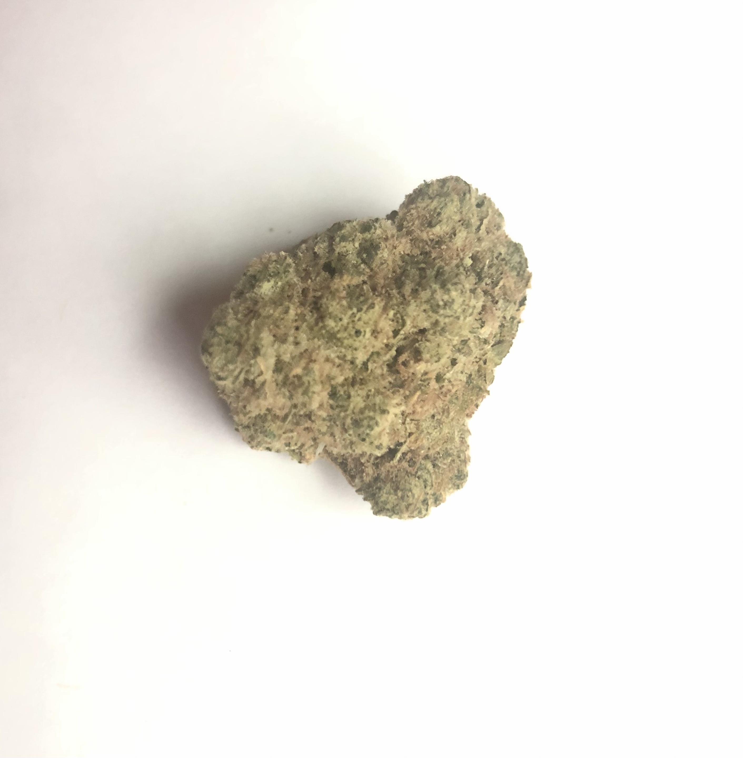 Foto de la variedad Chem Z