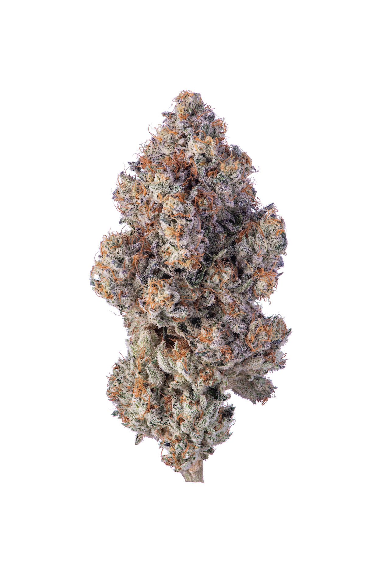 Khalifa Kush: Khalifa Mints