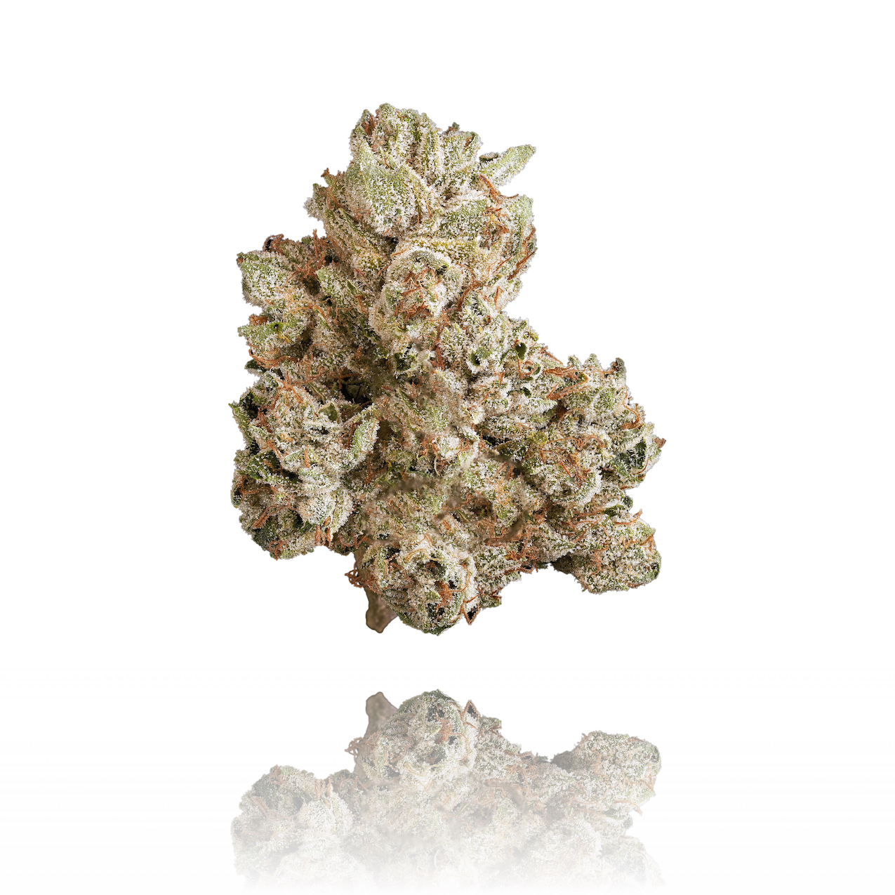 Stiiizy: Xxx OG