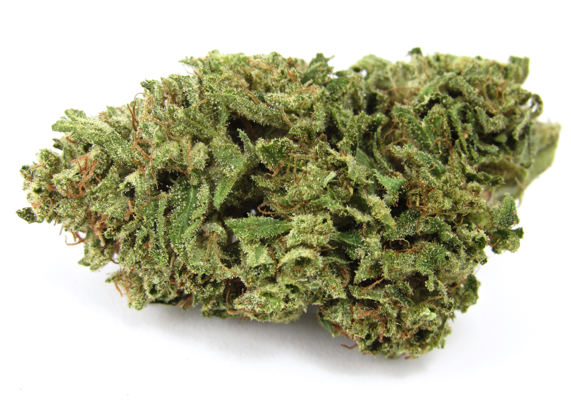 Arise Cannabis: LA Bomba