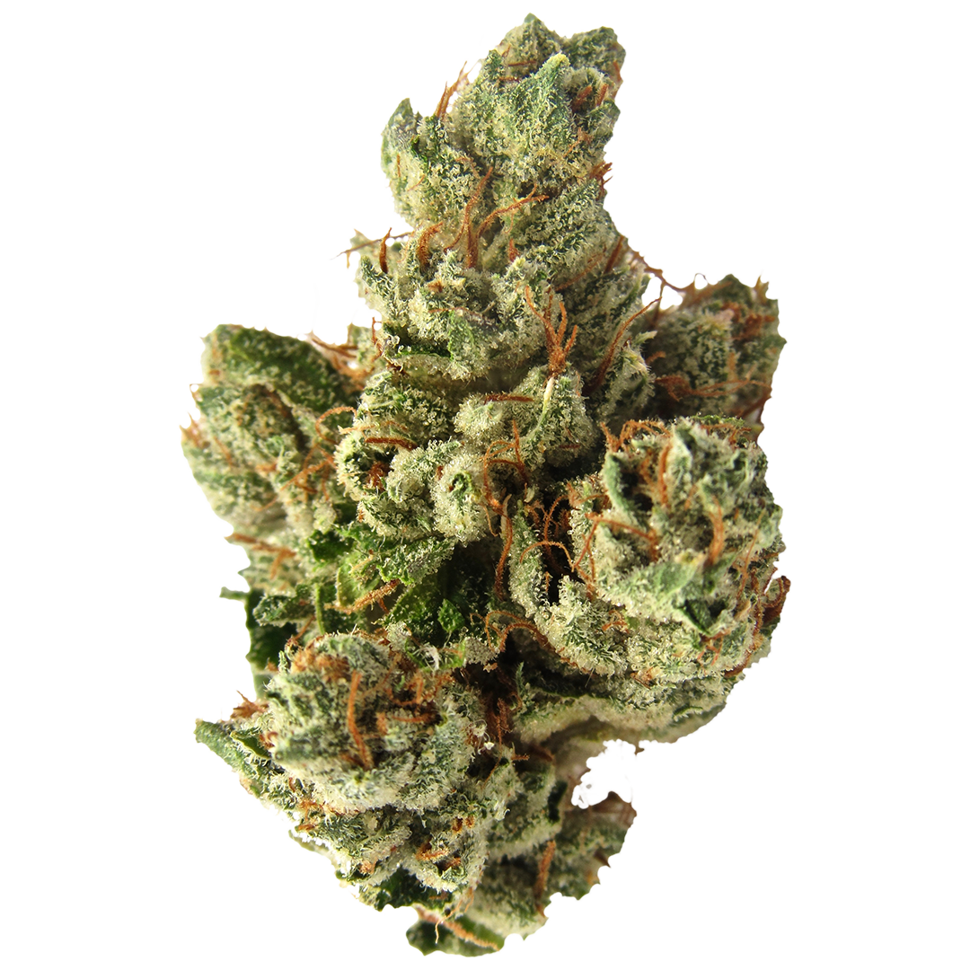 The Cure Company — SFV OG