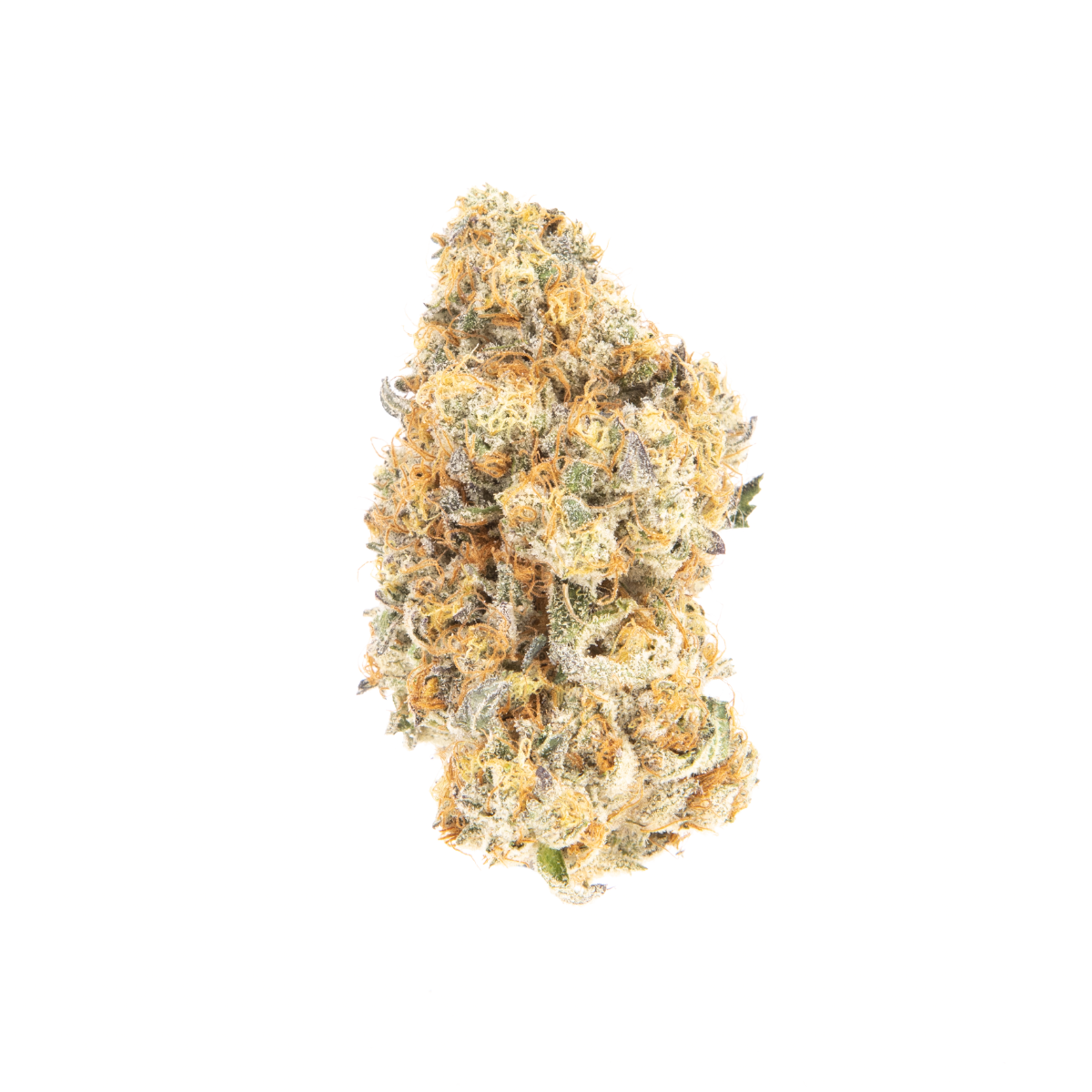 West Coast Treez: Disco