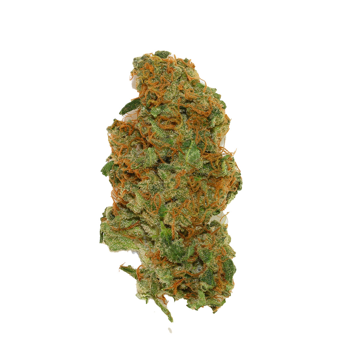 Foto de la variedad Sweet Zenzation