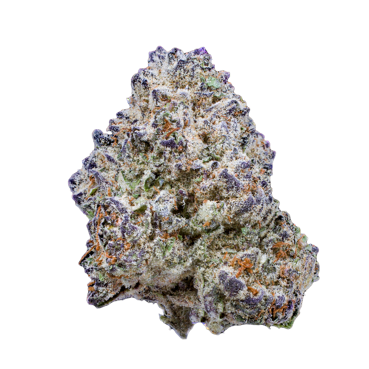 Williams Wonder Farms: Slurricane