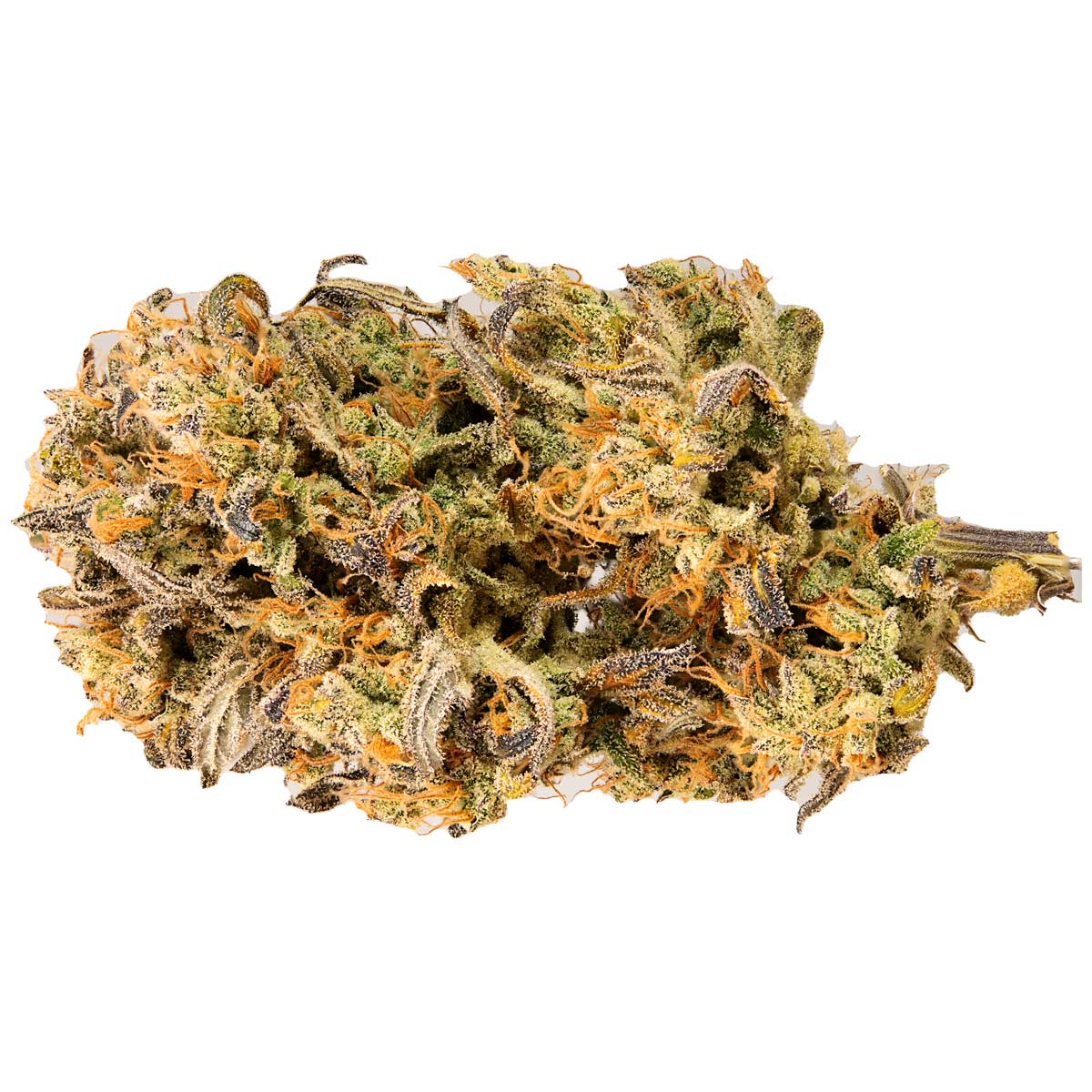 Foto de la variedad Jet Fuel Mandarine XL Auto