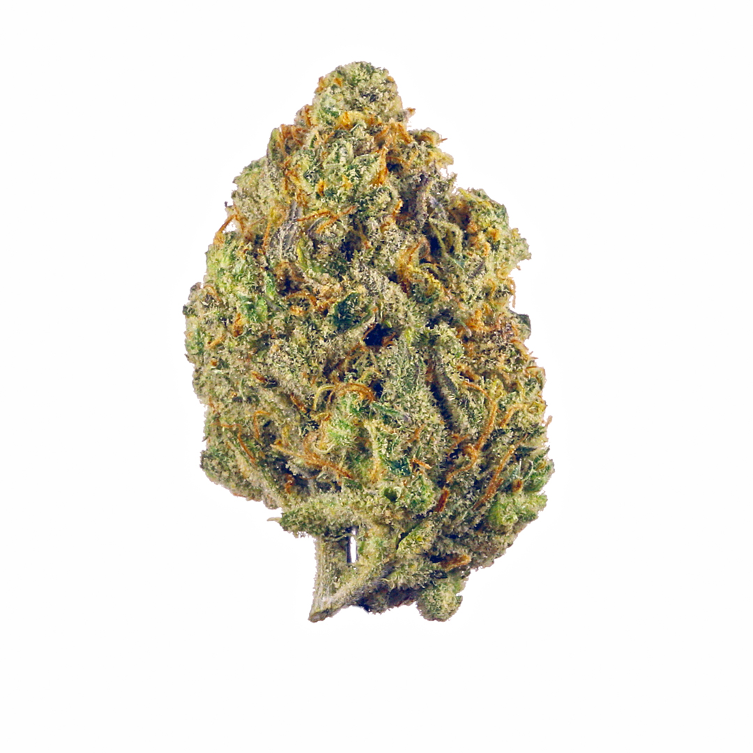 Durban Poison fem: seeds for sale, strain information and customer reviews  - Herbies