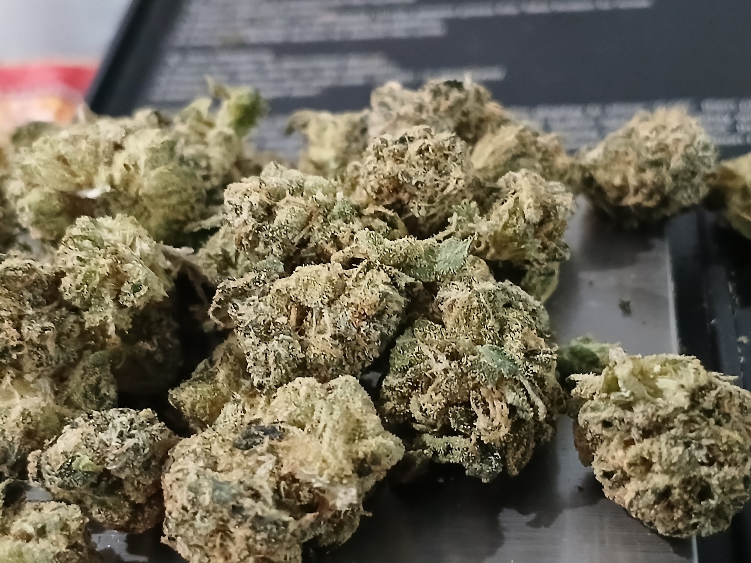 Cannabiotix — Casino Kush