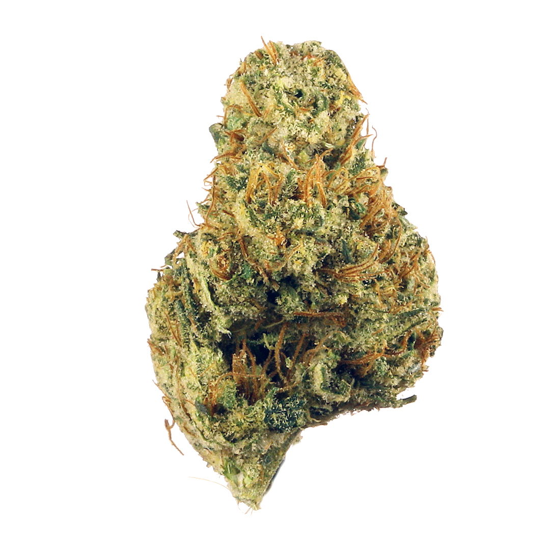 Wood Wide — Dutch Treat