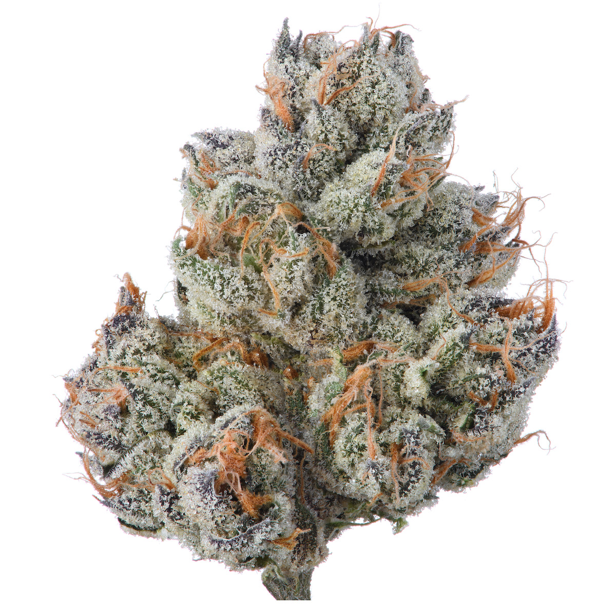 Khalifa Kush: Point Breeze