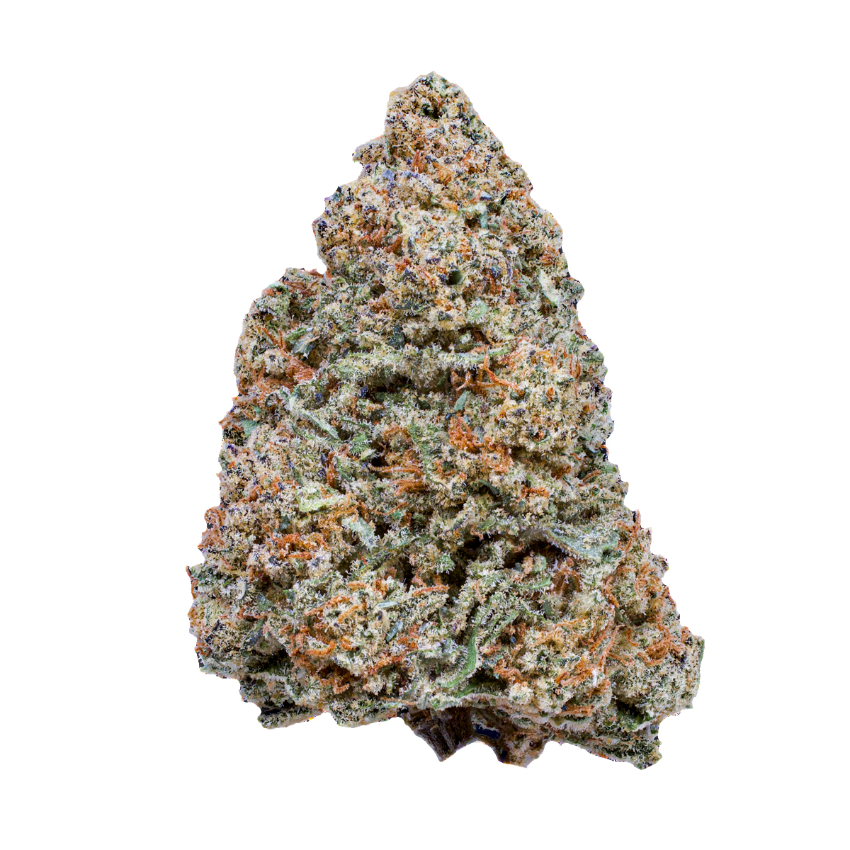 Focus North: MAC 1