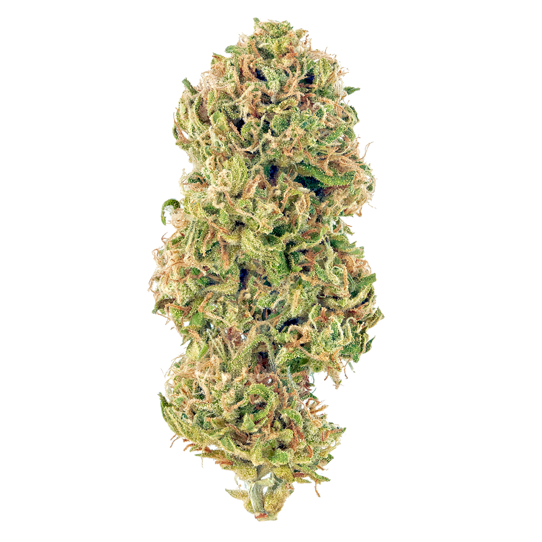 Foto de la variedad Huckleberry