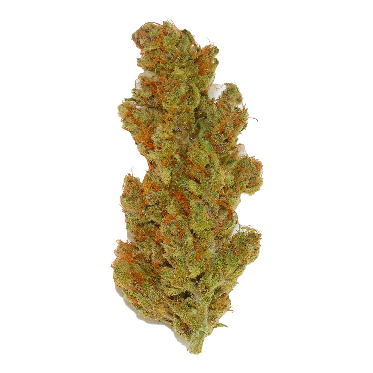 Foto de la variedad Purple Punch OG