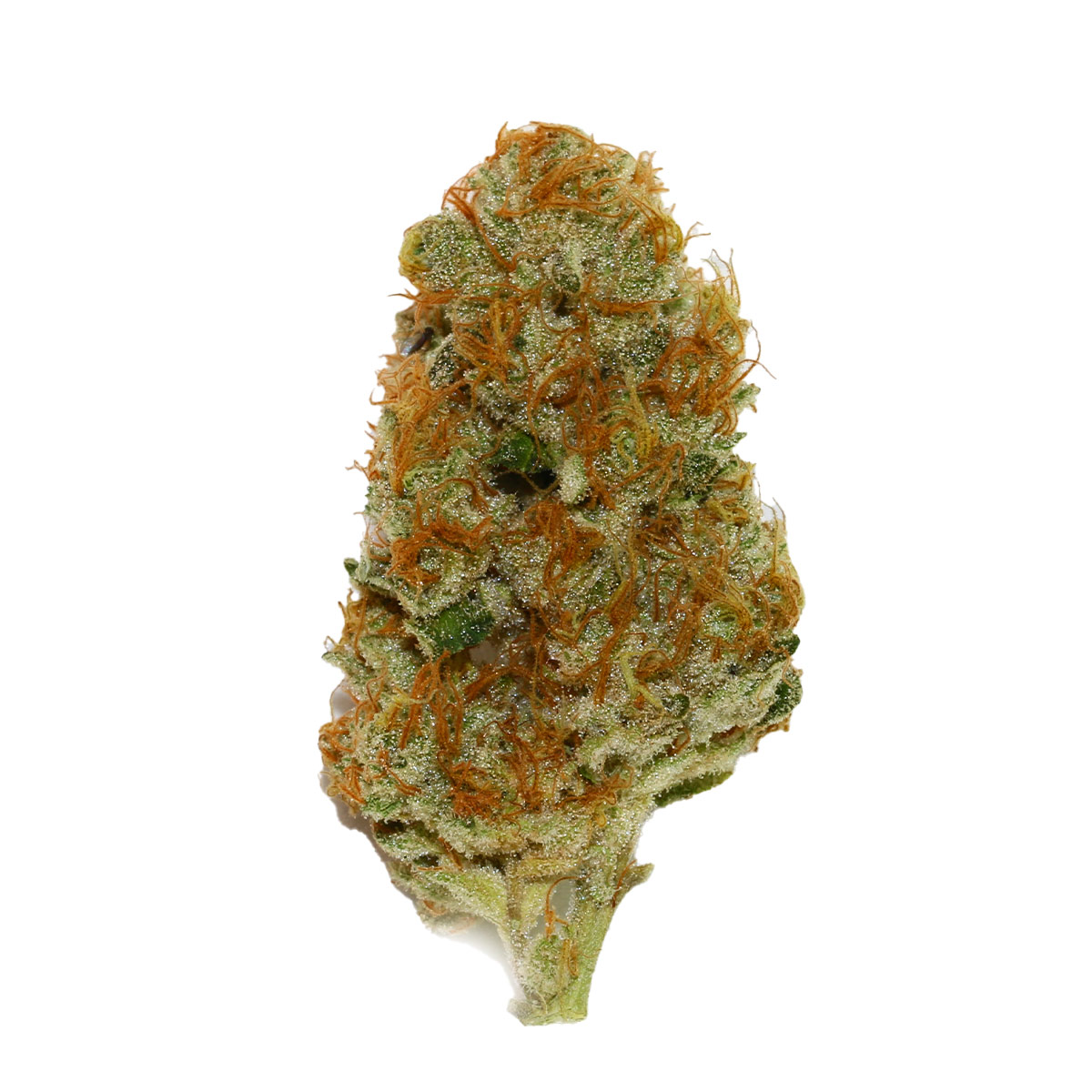 Cream Caramel