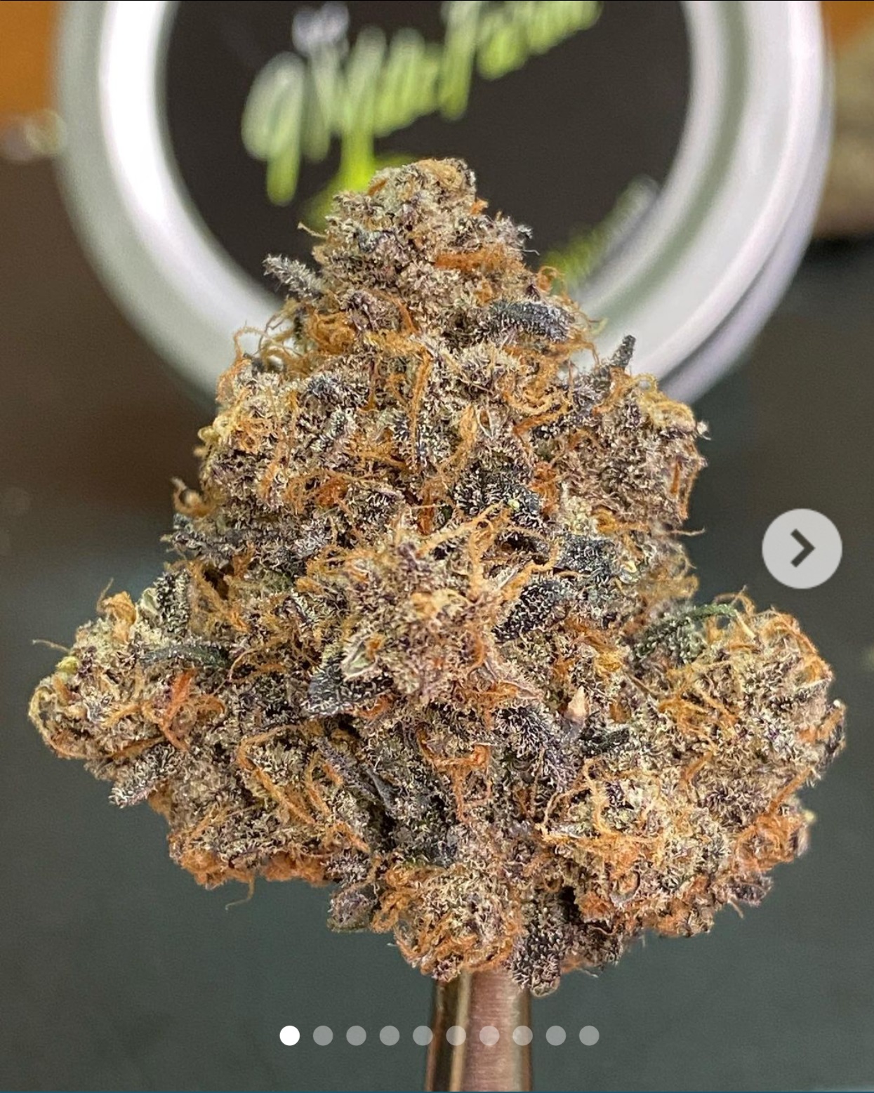 Thunder Farms: Black Cherry Garlic