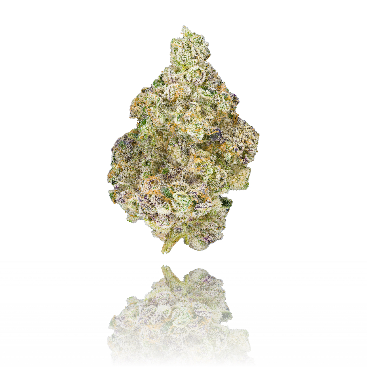 Foto de la variedad Paradiso