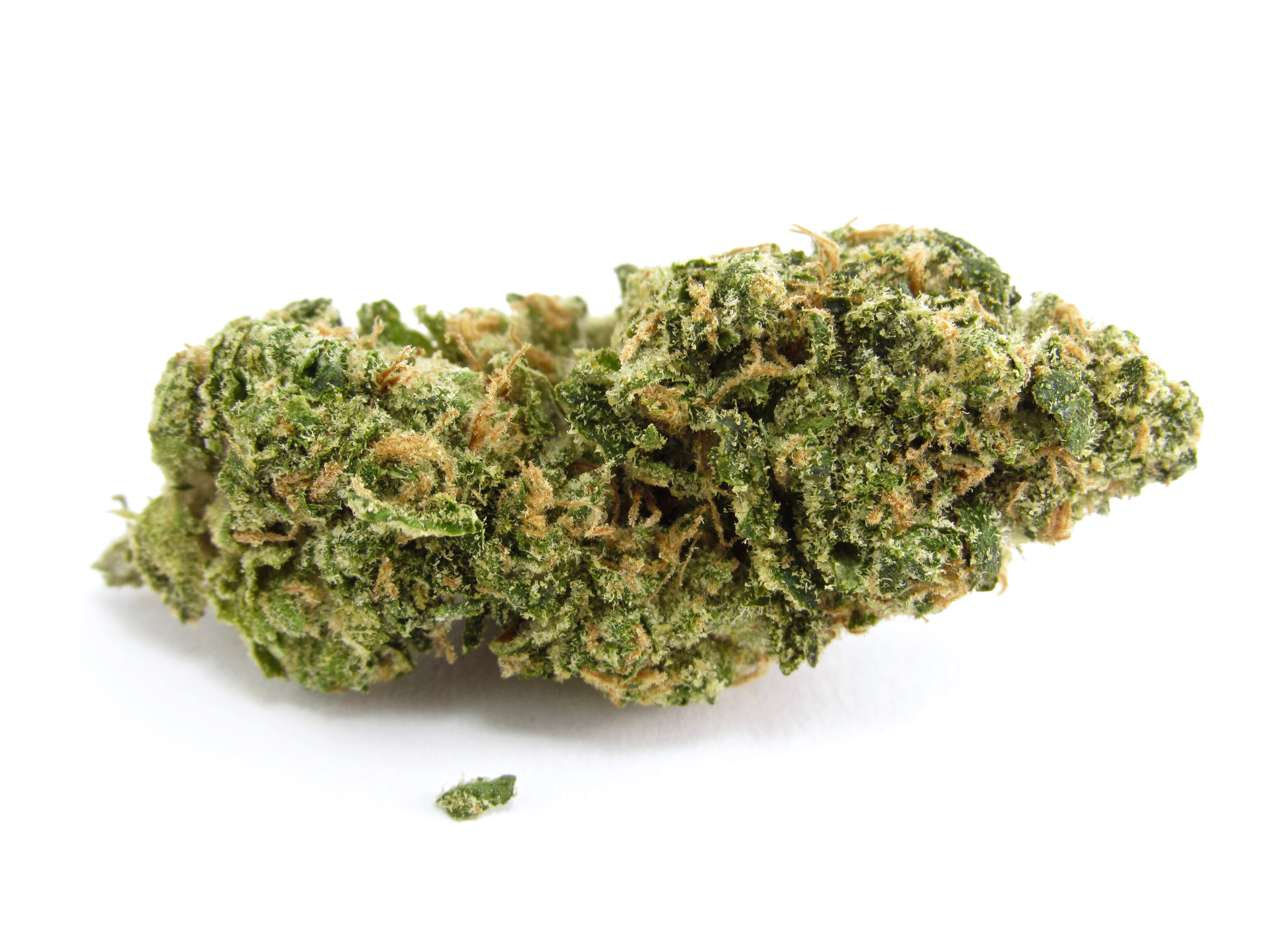 Foto de la variedad Z Cube