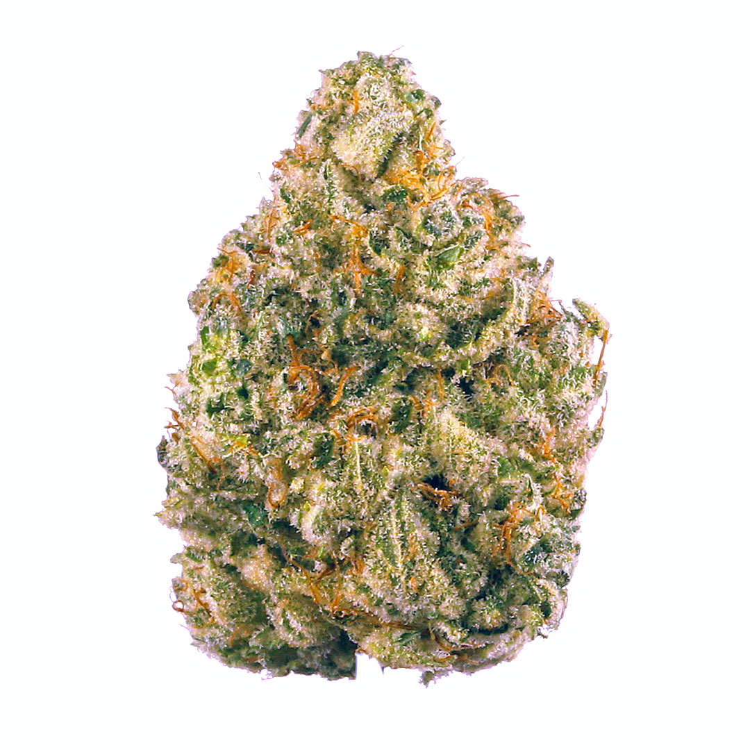 Green Farms: Sister Glue