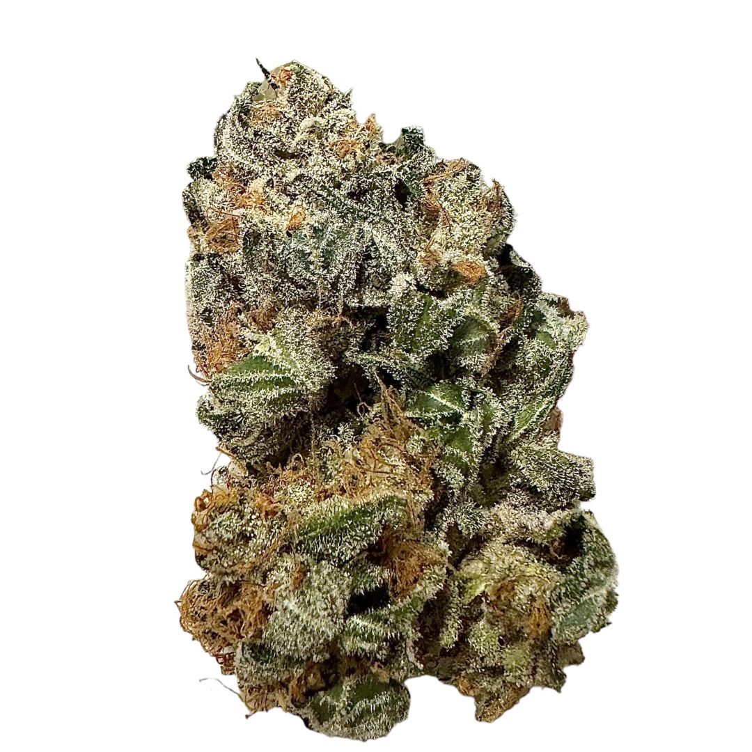 Foto de la variedad Rainbow Dash