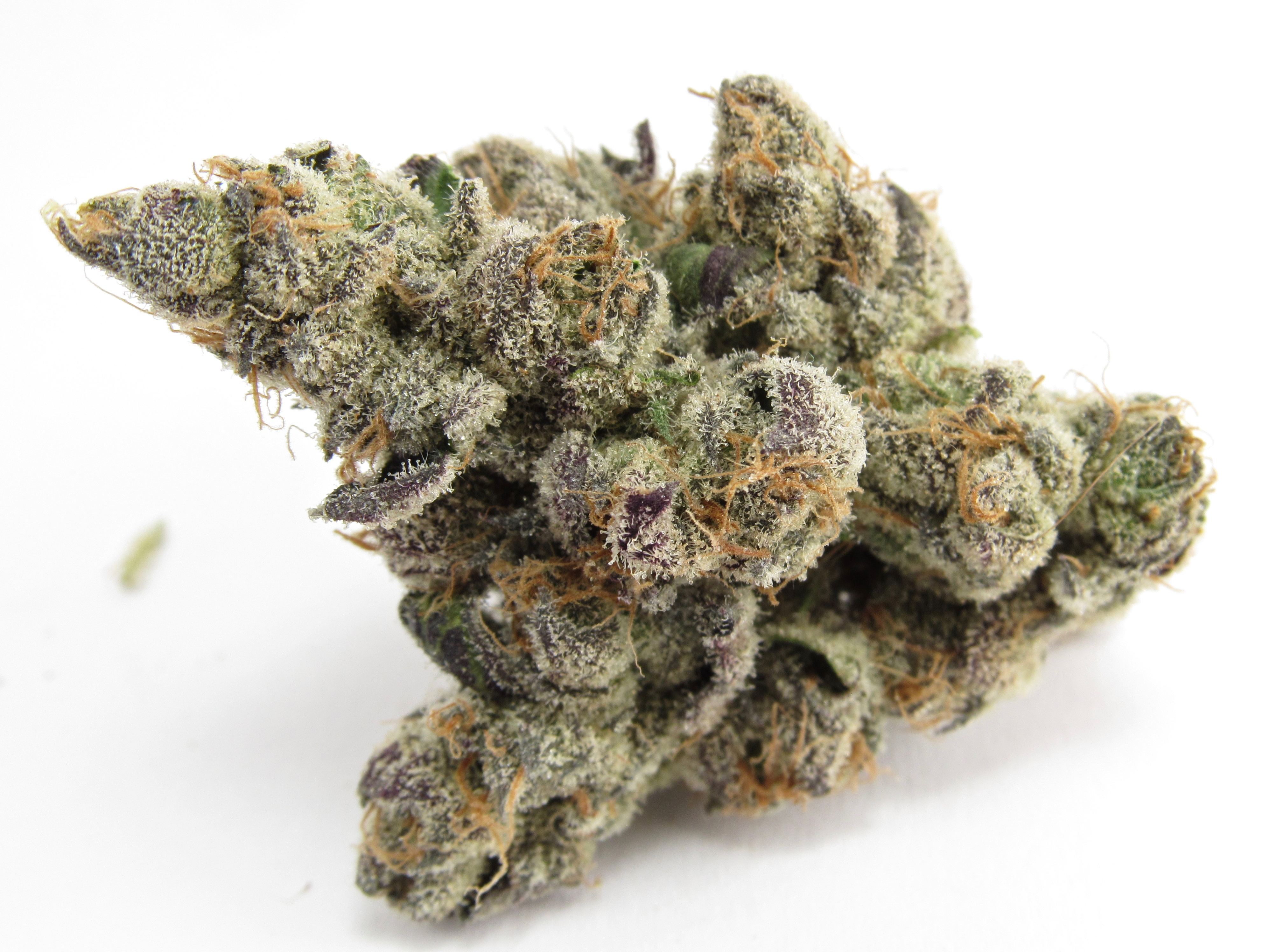 Foto de la variedad Georgia Apple Pie