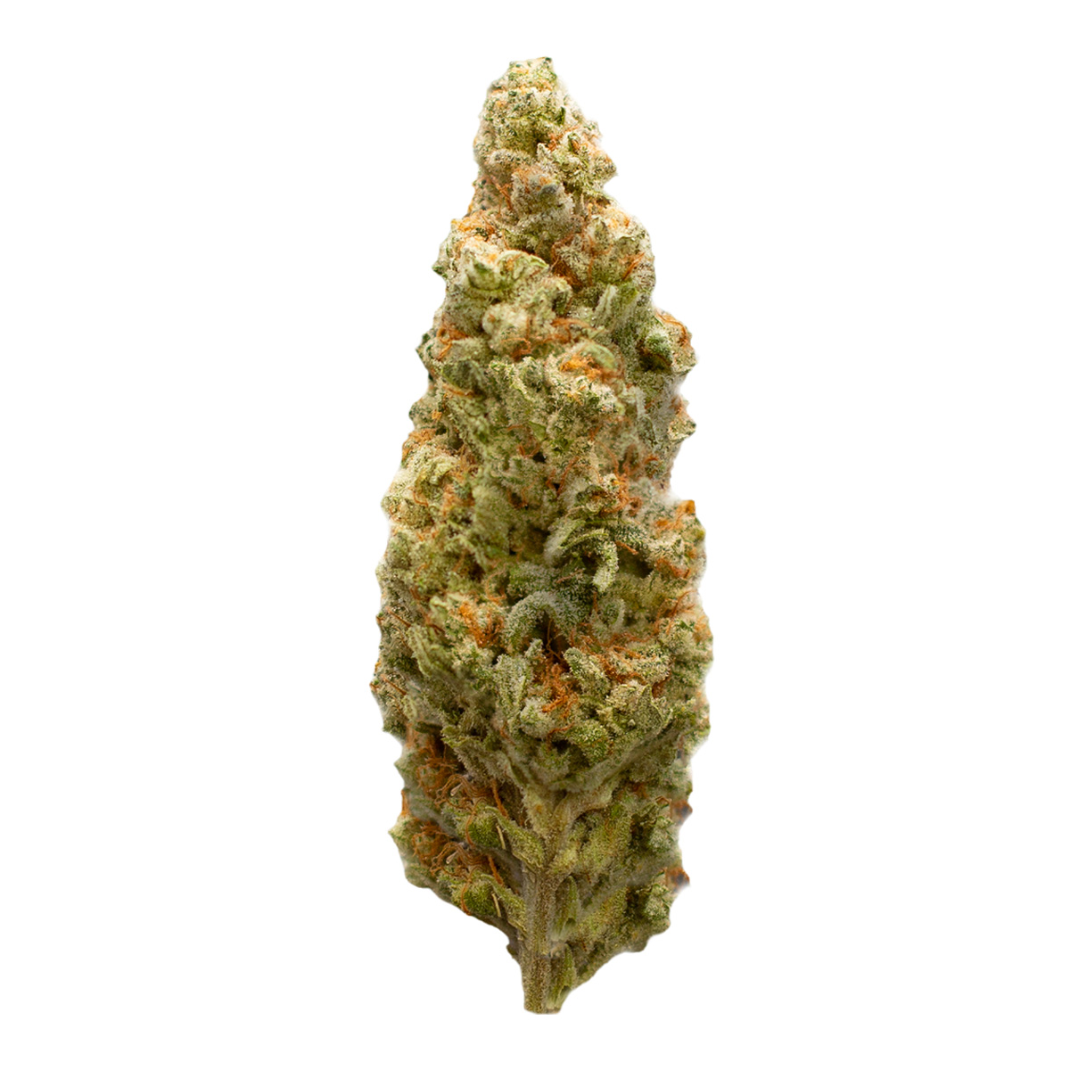 Foto de la variedad Honeycomb
