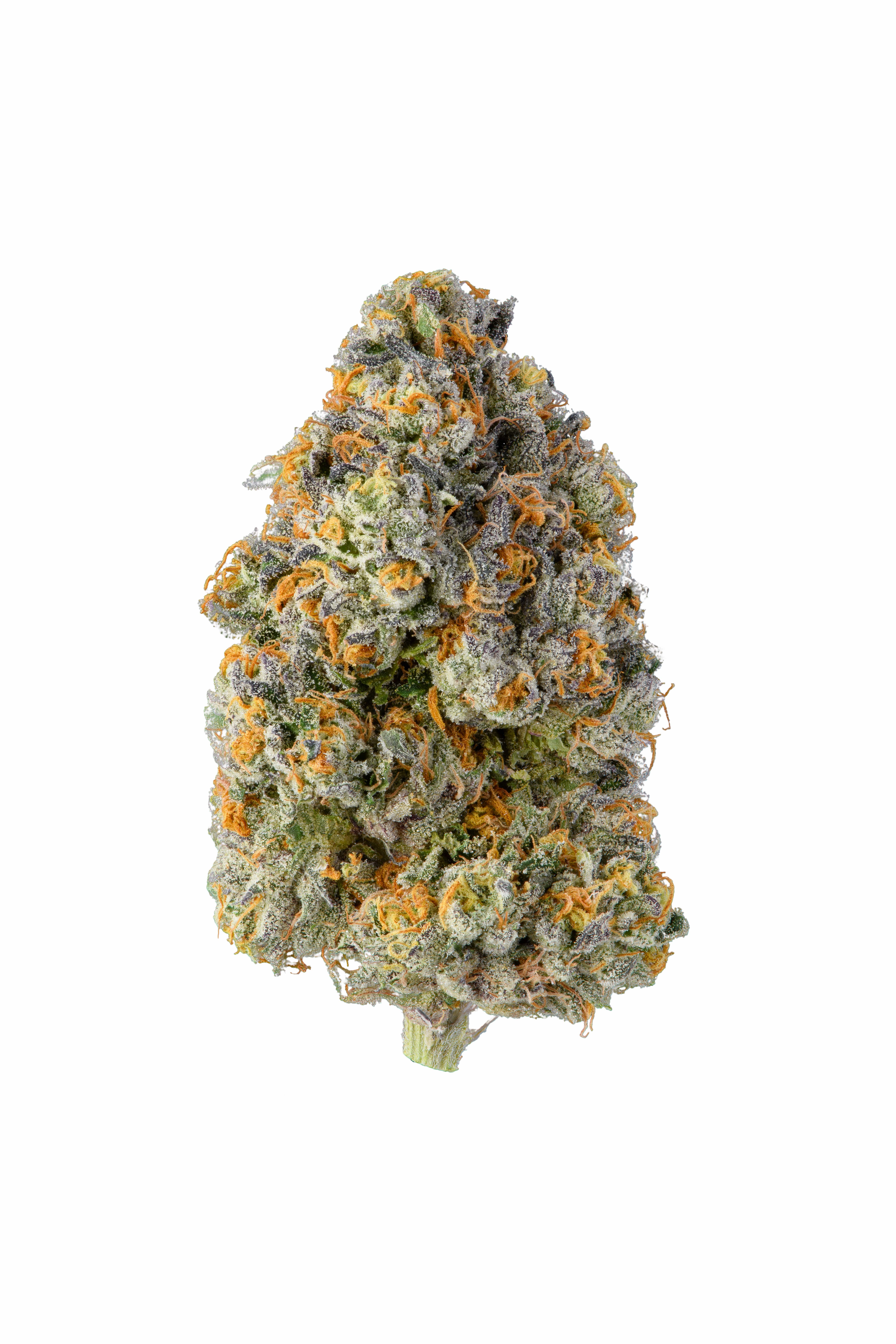 Khalifa Kush — Baby Turtle