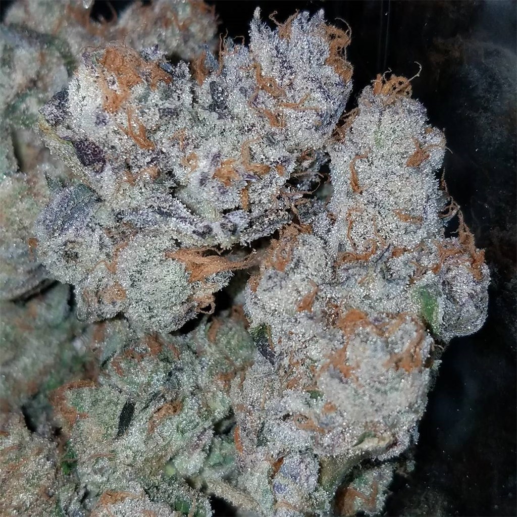 100 OG