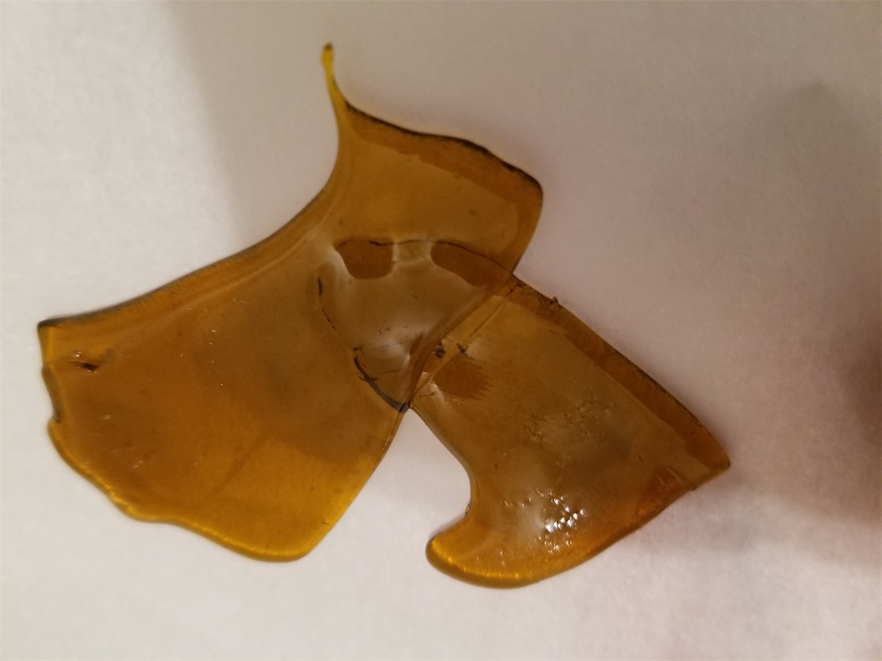 Foto de la variedad 3 Kings