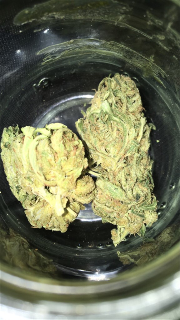 【Gangster】THXE 1ml OG KUSH + Buy Bulk Gangster Kush Strain - Cheap Weed Pounds & Reviews