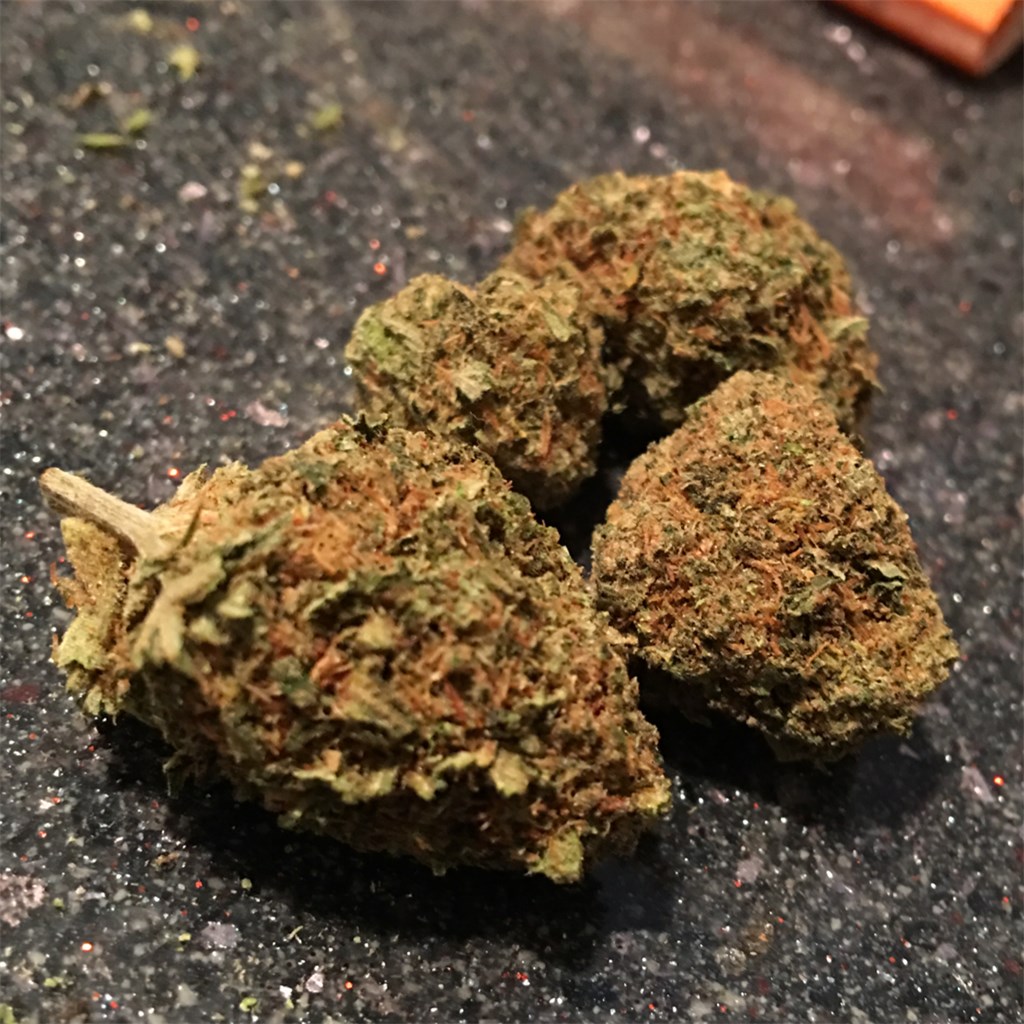 Foto de la variedad A-Train