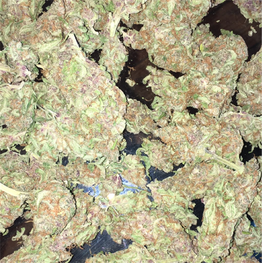Ace of Spades
