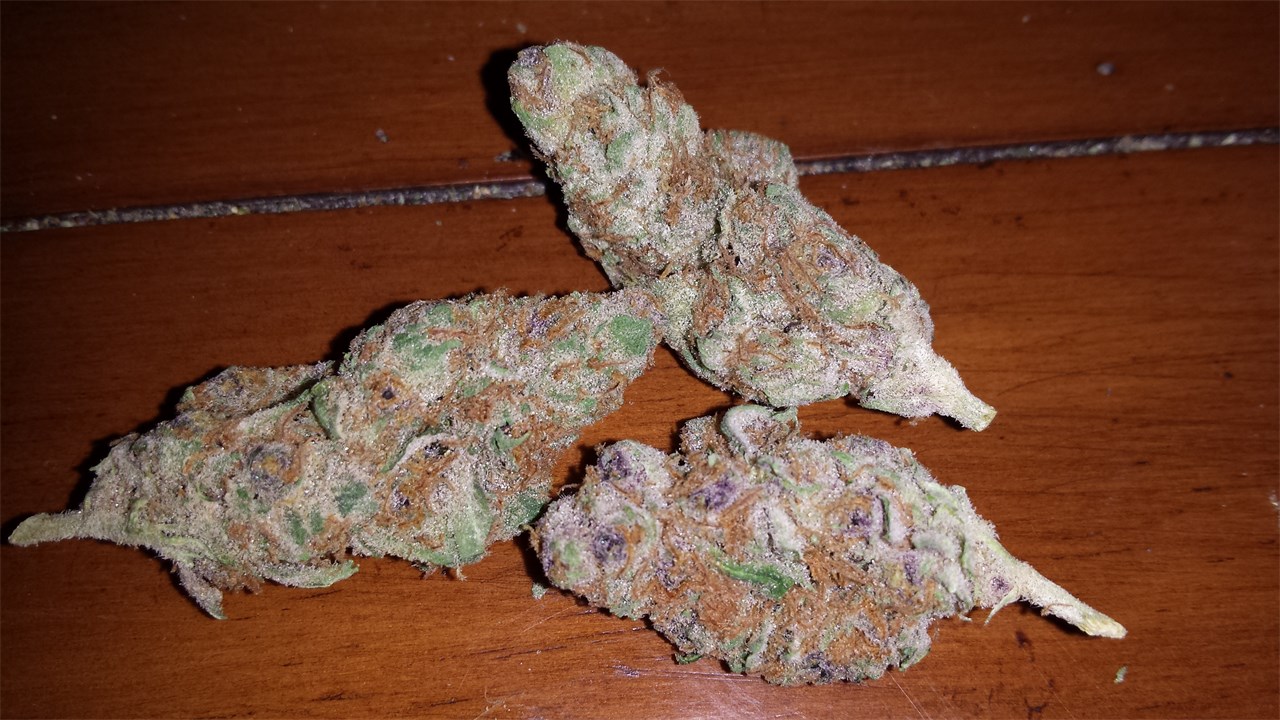 Ace of Spades