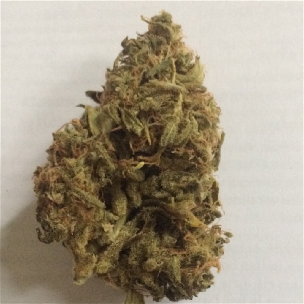 Foto de la variedad CBD Afghani