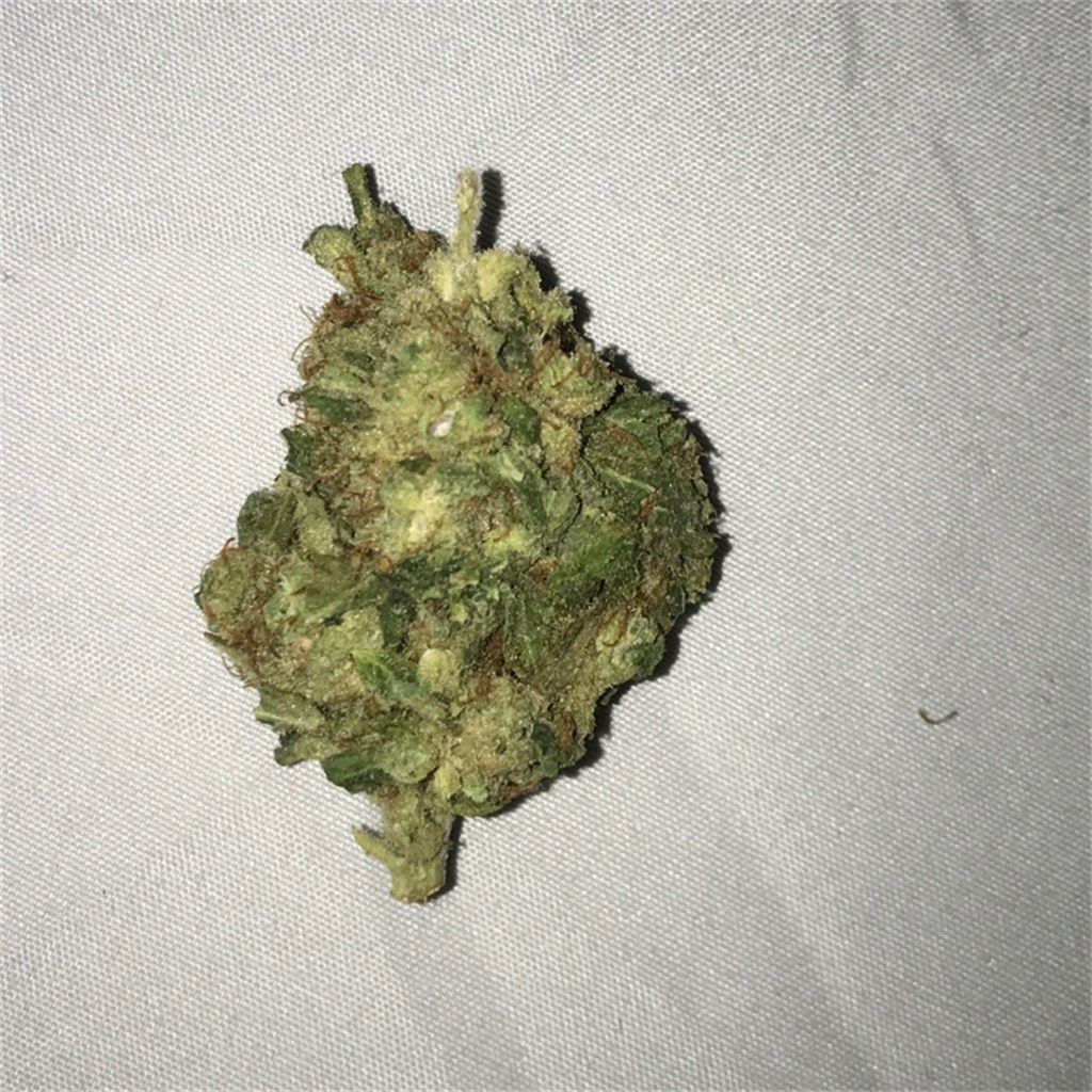 Foto de la variedad Afghan