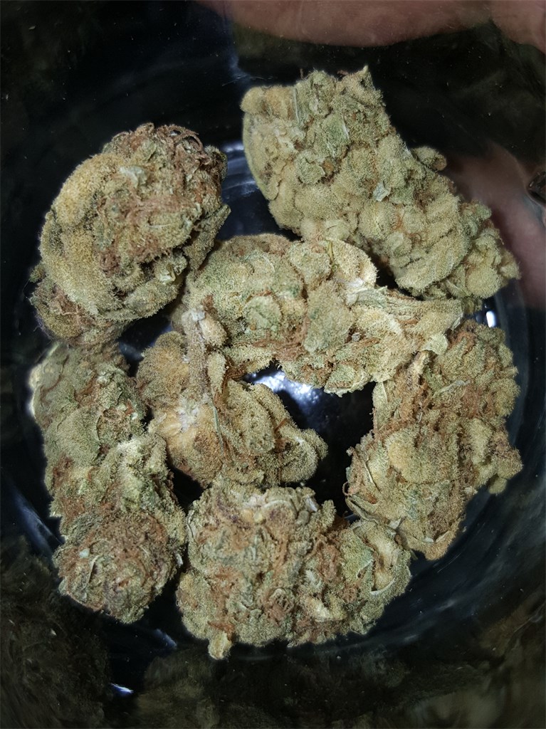 Afternoon Delight